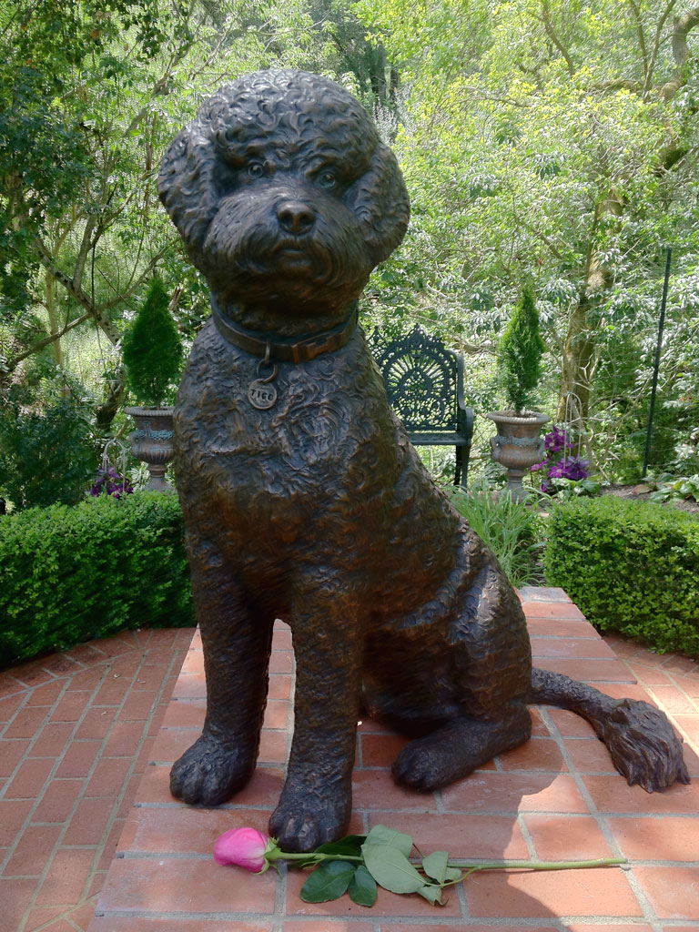 Portuguese Water Dog Tigo Custom Bronze Portrait Sculpture by Lena Toritch