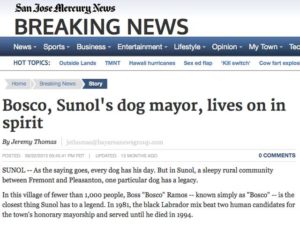 San-Jose-Mercury-News-Bosco-Lives-On-In-Spirit