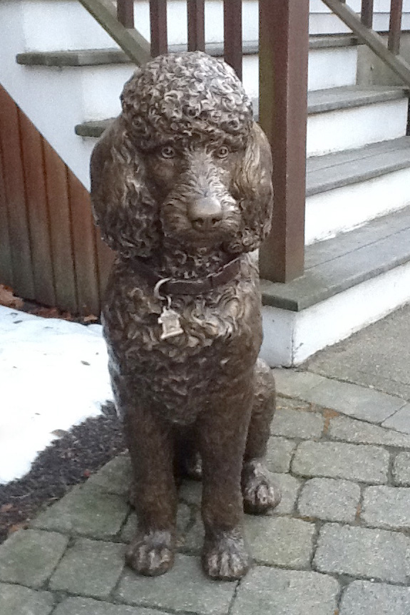 Gifford the standard poodle custom bronze portrait sculpture by Lena Toritch