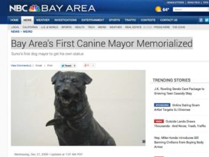 NBC-Bay-Area-Bosco-the-Mayor-Dog