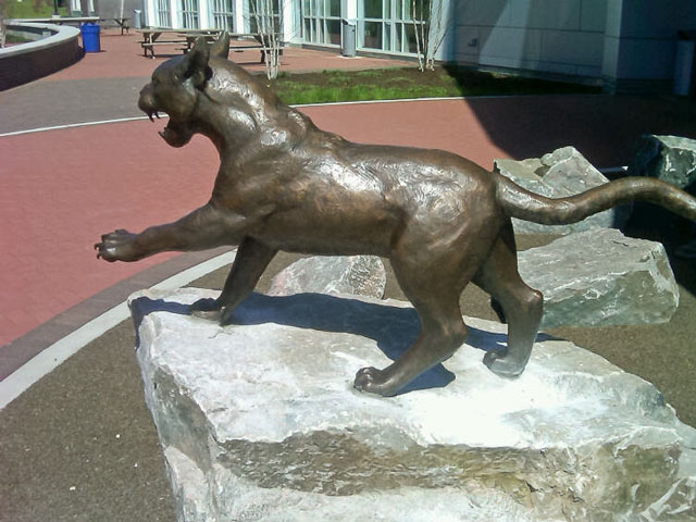 Wildcat Mascot Custom Bronze Statue by Lena Toritch installed